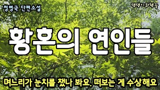 정병국/아무도 눈치 못 채게 행동을 잘합시다. 알았어요, 영감님이나 실수하지 마세요/책읽어주는작가