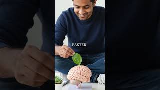 How Financial Stress Rewires Your Brain and Makes Addiction Recovery Harder