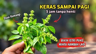 I Regret Not Knowing This Miracle Remedy Sooner ‼️