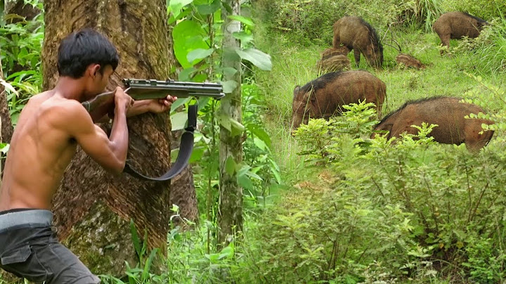 HUNTING OUT THE KILLING OF 2 PALM OIL-EATING FOREST PIGS AT NIGHT
