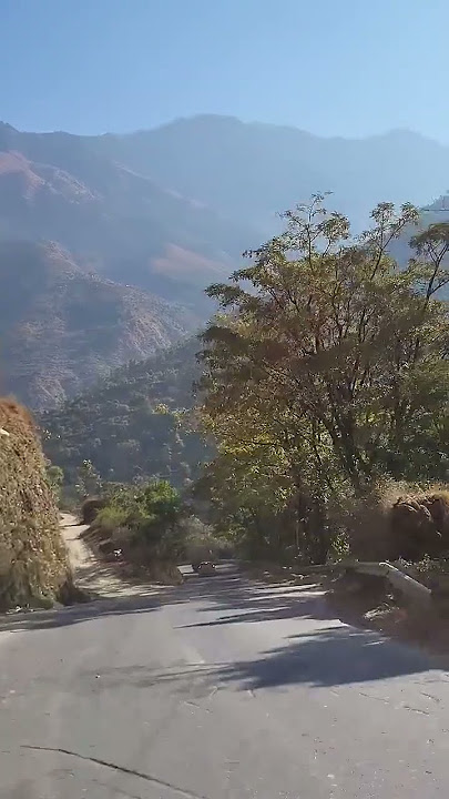 #nene #devotional #shurts