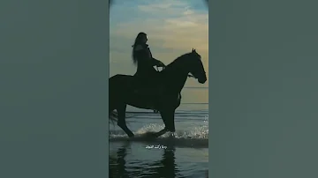 انتي الشيخة ودلة وكت الفنجان 