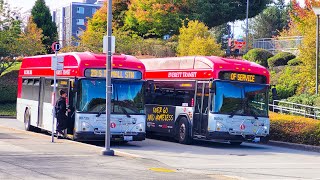 Ride on an Everett Transit 2025 Gillig Low Floor + #735