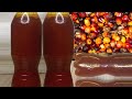 How to make palm oil from palm fruit at home