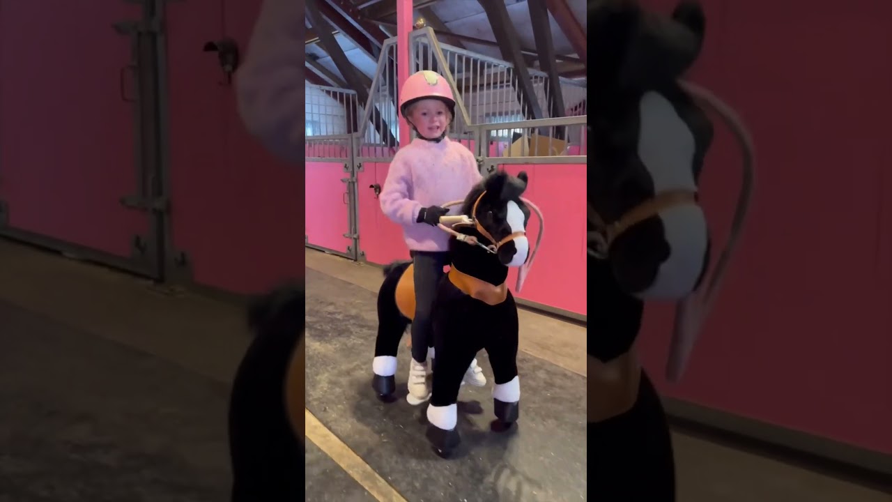 New arrival in the barn! 🖤🐴 