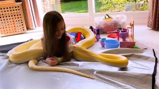 16ft Python Does This To Little Girl, Everyone Is Shocked