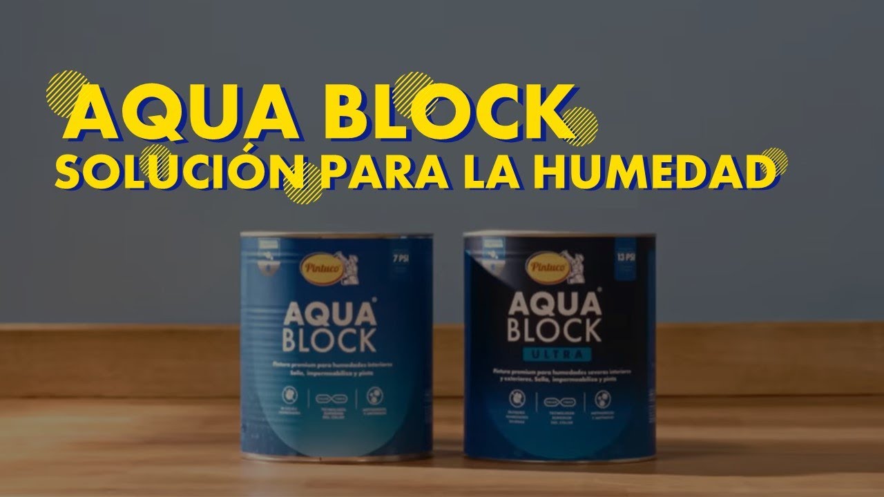 Repara y elimina la humedad y los hongos de tu pared con Viniltex