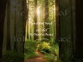Daily Affirmation