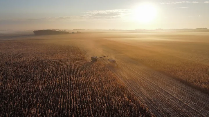 The How And Why Of Organic Farming