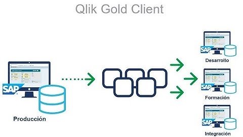 Qlik Gold Client - Intro