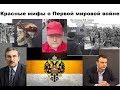 Неосоветские и украинские мифы о Первой Мировой Войне. Битва при Маковке.