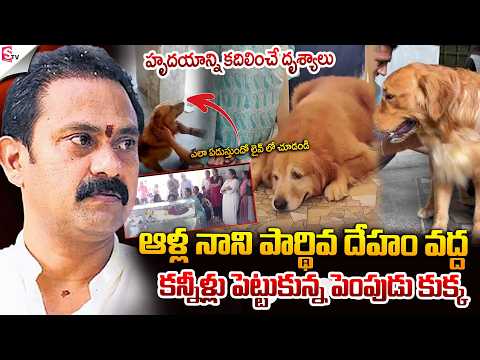 ఆళ్ల నాని మృ*తదేహం వద్ద కన్నీళ్లు పెట్టుకున్న శునకం | PetDog Sheds Emotional Over Alla Nani Incident