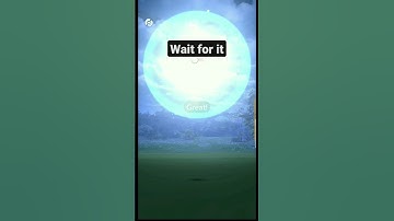 100 iv eevee in pokemon go #shorts #youtubeshorts #shortsfeed #pokemongo