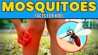 Mosquitoes - Educational Facts for Kids