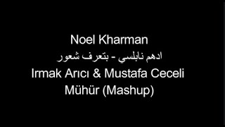 Noel Kharman ادهم نابلسي كلمات الاغنية  بتعرف شعور Irmak Arıcı & Mustafa Ceceli   Mühür  lyrics