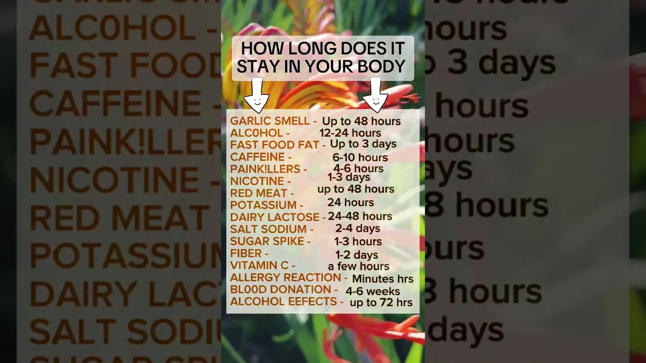 How Long Does Food Stay in Your Body?⏳🧄🍾☕🥩