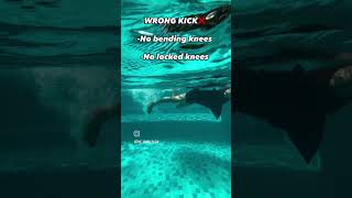 flutter kick basics #swimming #viral #swim #pool #skills #swimmingpool