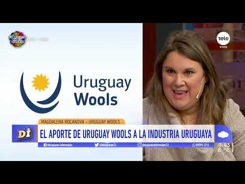 Nació Uruguay Wools, una marca que busca "demostrar el expertise uruguayo con lana"