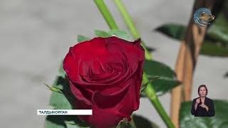 В этом году исполняется 34 года со дня закрытия Семипалатинского ядерного испытательного полигона