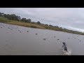 Duck Hunting in Australia 2017 (VIC)