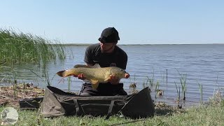 Дикий карпфишинг. Один на водоёме. Ловля сазана в завоз. Первая часть.