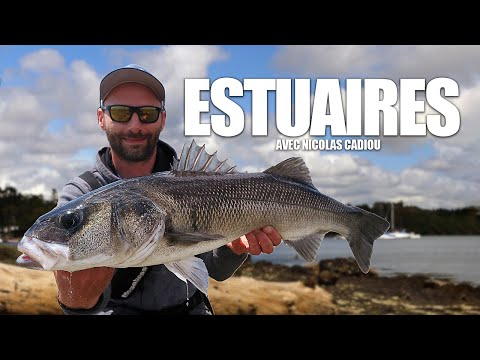 Pêche du bar en estuaire