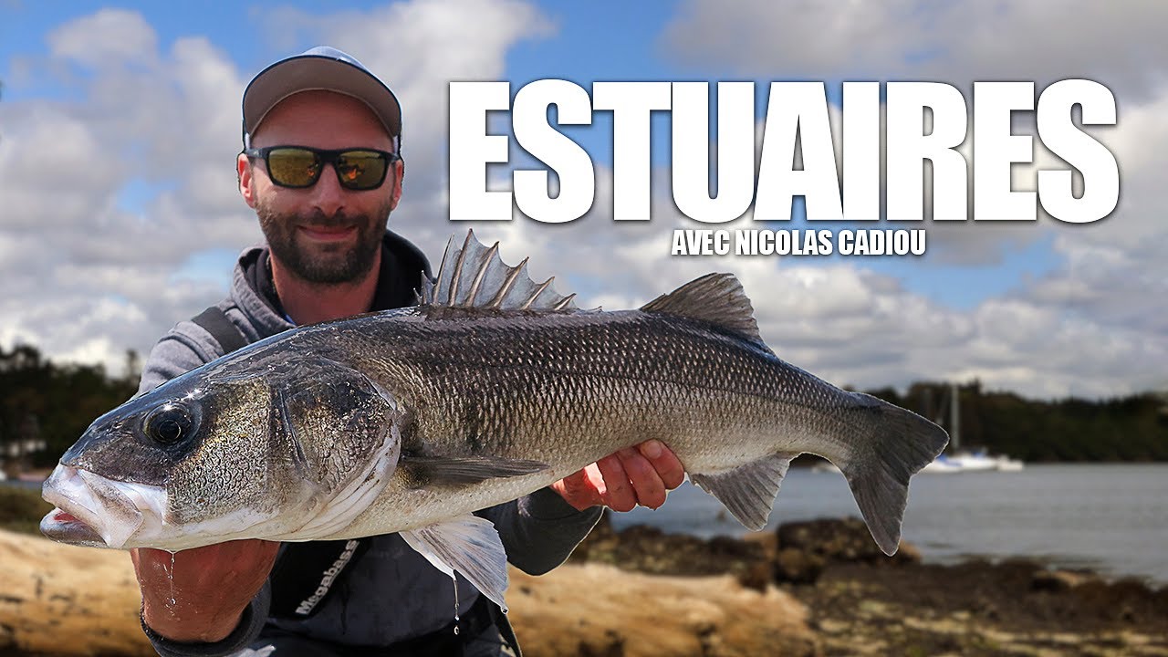 Pêche aux leurres durs en mer : apprendre, comprendre et réussir !