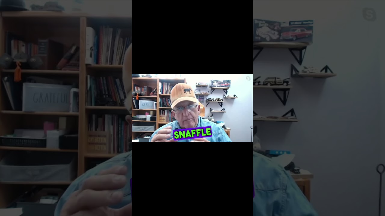 What Is the difference between a headstall and a bridle?