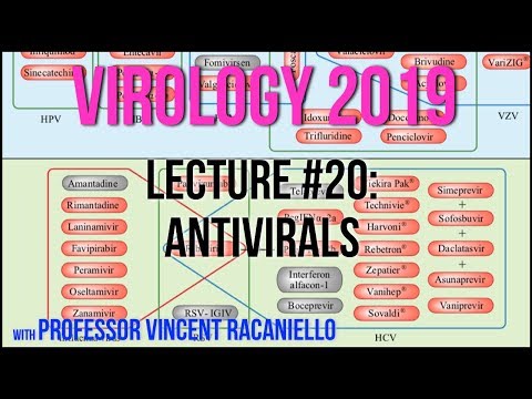 Virology Lectures 2019 #20: Antivirals