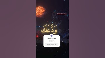#سورة_الضحى #ماهر_المعيقلي #المنشاوي #عبدالباسط_عبدالصمد #عبدالرحمن_مسعد #تلاوة_خاشعة #كرومات_قرآن