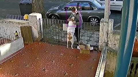 Até o Cachorro foi Roubado...