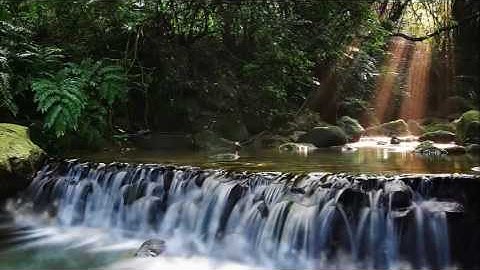 سورة القيامة للشيخ ملا أيوب سورجي قراءة جميلة جدا