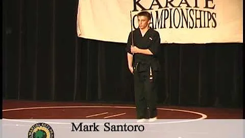 Mark Santoro at the International Karate Champions...