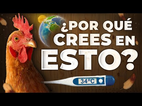 Video: ¿Deberíamos creer en la suerte?