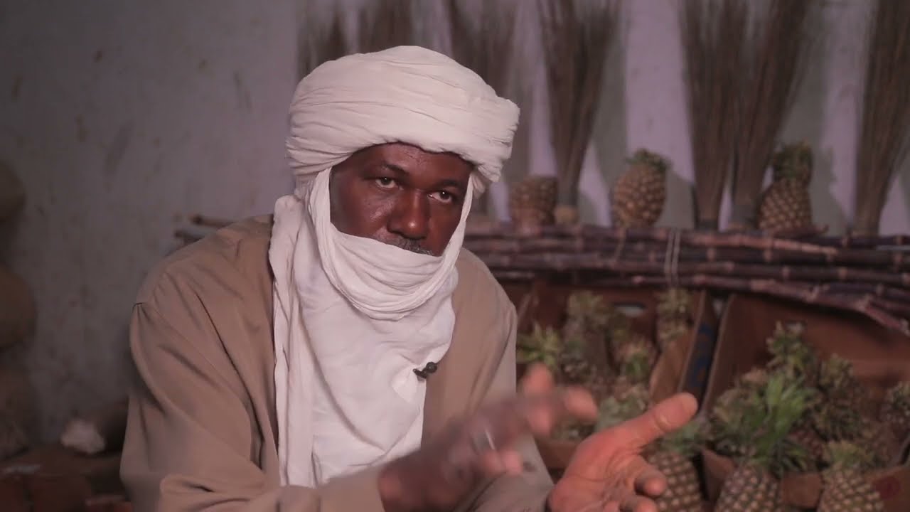 هكذا تدخل فاكهة الأناناس الى #الجزائر بارخص الاثمان في عين قزام