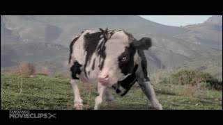 جاكي شان ضد بقرة