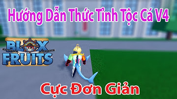 Roblox - Hướng Dẫn Chi Tiết Thức Tỉnh Tộc Cá V4 Cực Đơn Giản | Blox Fruits