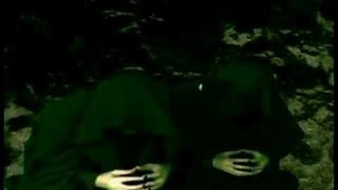 Aaartfystte DVD excerpt #3