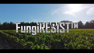 FungiRESIST - Analyze, simulate and visualize your sequencing data on an interactive map