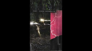 NBDY & Flesh Shuddering - Electronic Reforestation [Full Album]