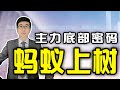 股票买卖 | 但凡底部出现“蚂蚁上树”形态！暴露主力吸筹完毕，看懂让你步步高升