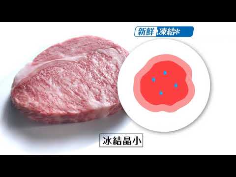 Pansonic 日本製電冰箱｜新鮮急凍結