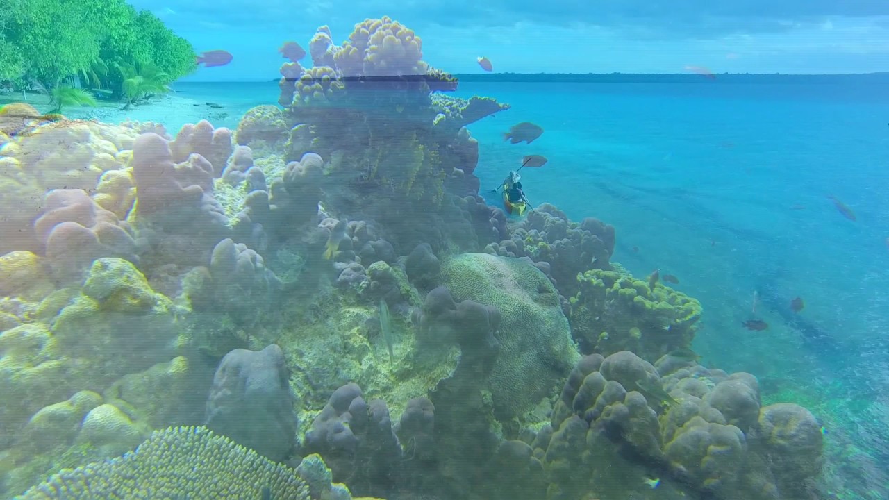 BOKISSA PRIVATE ISLAND RESORT    ACCOMMODATION