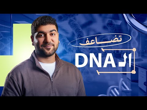 أسهل طريقة تفهم بيها تضاعف  في 8 دقائق بس جزء مهم من المحاضرة التالتة في فصل البيولوجيا الجزيئية