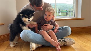 Adorable Baby Boy Meets New Puppy For The First Time! (Cutest Reaction Ever!!) Resimi