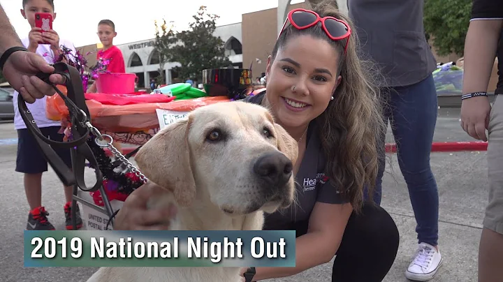 Spring ISD National Night Out 2019