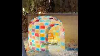 Celebrity This man used 500 blocks of ice to build a fairytale ice igloo. Net Worth