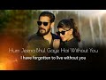Tere Bina Lyrics Translation | Salman Khan | Jacqueline Fernandez