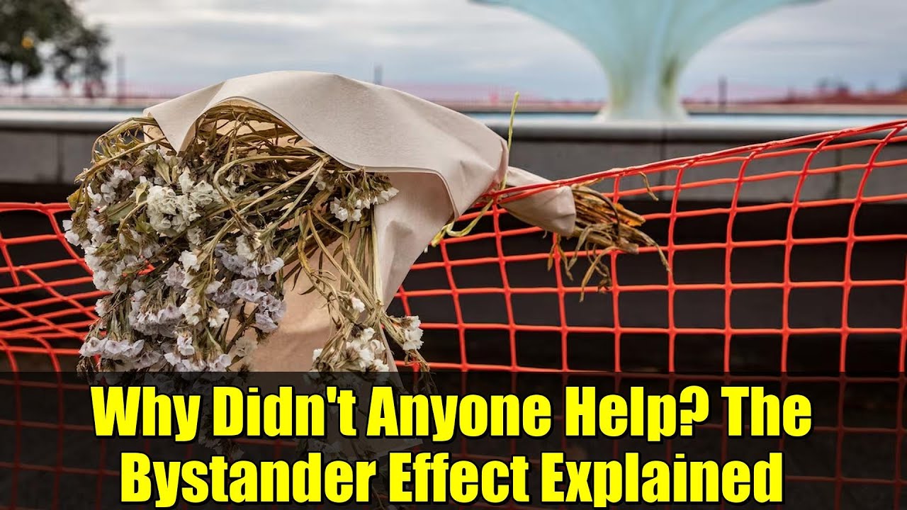 Why Didn't Anyone Help? The Bystander Effect Explained | Tauranga Memorial Park Drowning Tragedy
