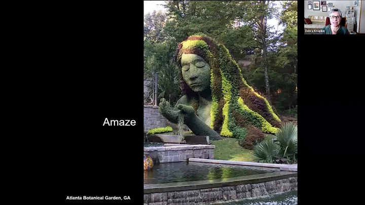 Debra Knapke: Native Plants in My Garden? Absolute...